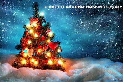 image %281%29.jpg
